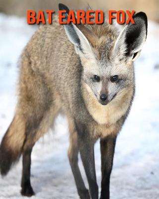 Book cover for Bat Eared Fox