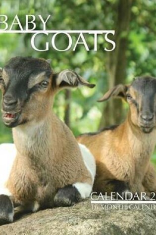 Cover of Baby Goats Calendar 2016