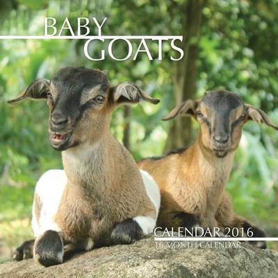 Book cover for Baby Goats Calendar 2016