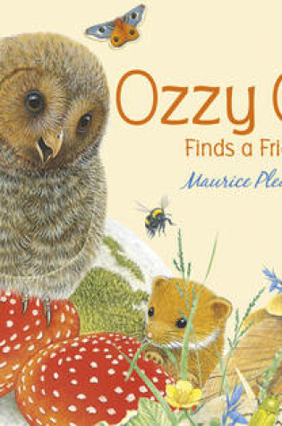 Cover of Ozzy Owl Finds a Friend