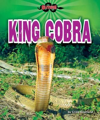 Book cover for King Cobra