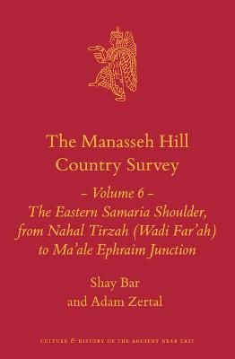 Book cover for The Manasseh Hill Country Survey Volume 6