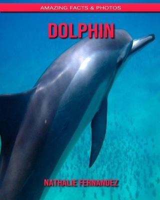 Book cover for Dolphin