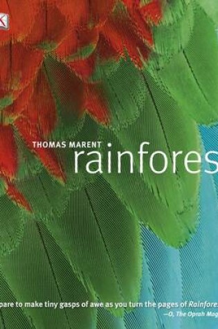 Cover of Rainforest