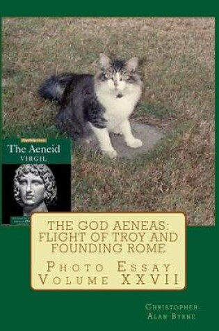 Cover of The God Aeneas