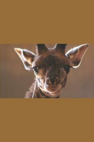 Cover of Baby Giraffe