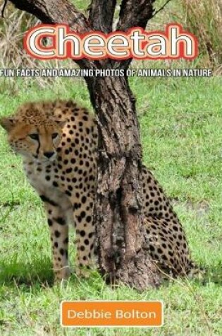 Cover of Cheetah