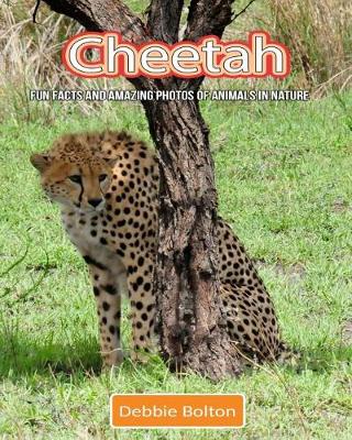 Book cover for Cheetah