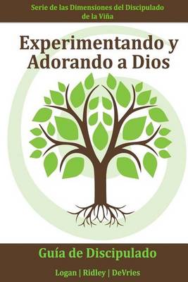 Book cover for Experimentando y Adorando a Dios (Vineyard)