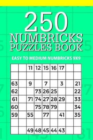 Cover of 250 Numbricks Puzzle Book