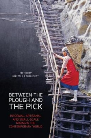 Cover of Between the Plough and the Pick
