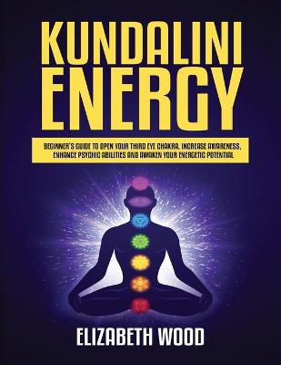 Book cover for Kundalini Energy