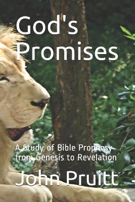 Book cover for God's Promises