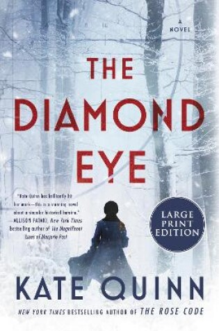 Cover of The Diamond Eye