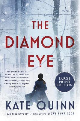 Book cover for The Diamond Eye