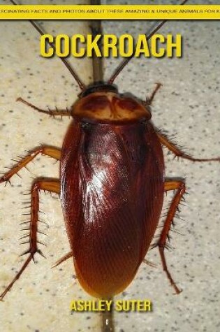 Cover of Cockroach
