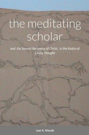 Cover of The meditating scholar