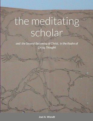 Book cover for The meditating scholar