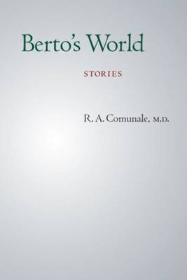 Book cover for Berto's World