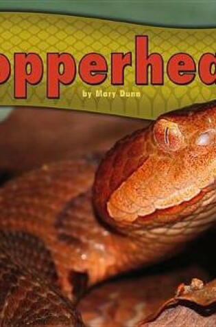 Cover of Copperheads