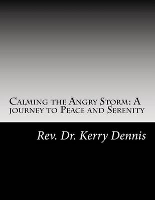 Book cover for Calming the Angry Storm