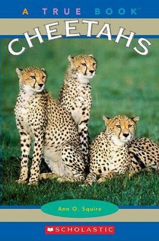 Cover of Cheetahs