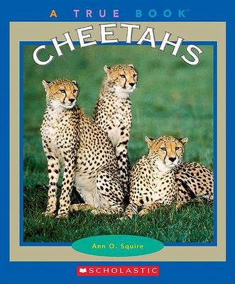 Book cover for Cheetahs