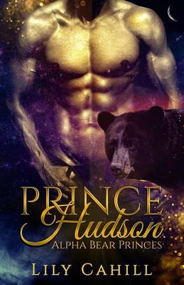 Book cover for Prince Hudson