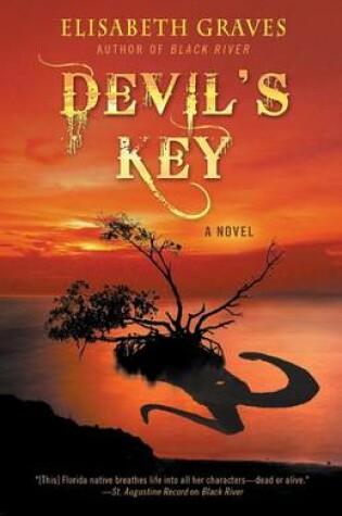 Cover of Devil's Key