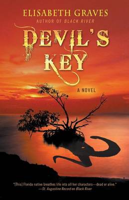 Book cover for Devil's Key