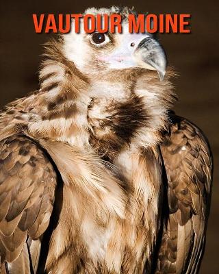 Book cover for Vautour Moine