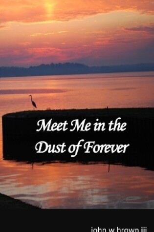 Cover of Meet Me in the Dust of Forever
