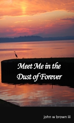 Book cover for Meet Me in the Dust of Forever