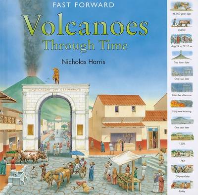 Book cover for Volcanoes Through Time