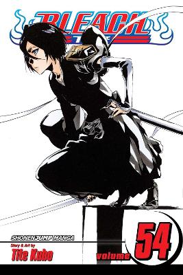 Cover of Bleach, Vol. 54