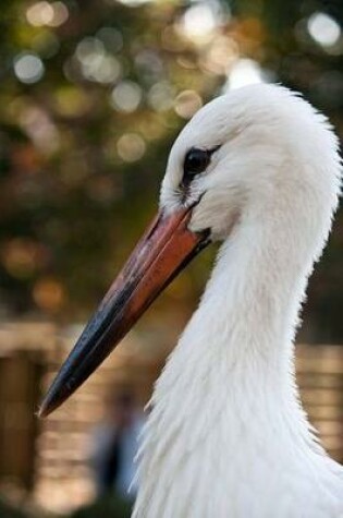 Cover of White Stork Portrait Journal