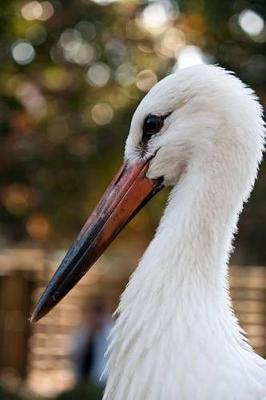 Book cover for White Stork Portrait Journal