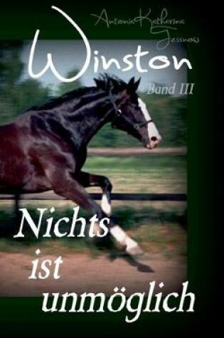 Cover of Winston - Nichts ist unmöglich