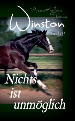 Cover of Winston - Nichts ist unmöglich