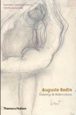 Cover of Rodin Drawings and Watercolours