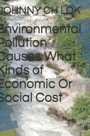 Cover of Environmental Pollution Causes What Kinds of Economic Or Social