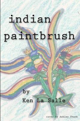 Book cover for indian paintbrush