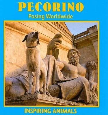 Book cover for Pecorino