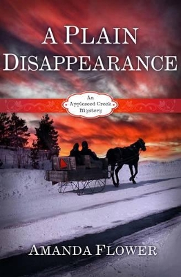 Book cover for A Plain Disappearance