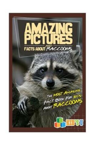 Cover of Amazing Pictures and Facts about Raccoons