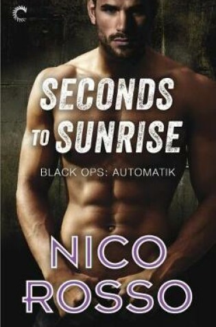 Cover of Seconds to Sunrise