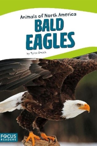 Cover of Animals of North America: Bald Eagles