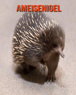 Cover of Ameisenigel