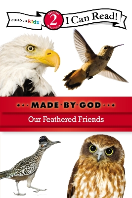 Book cover for Our Feathered Friends