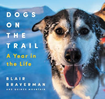 Cover of Dogs on the Trail